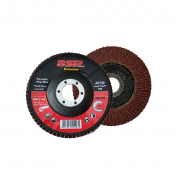 BINIC Eco Flap Disc 115x22-24x16mm (120) 10pc